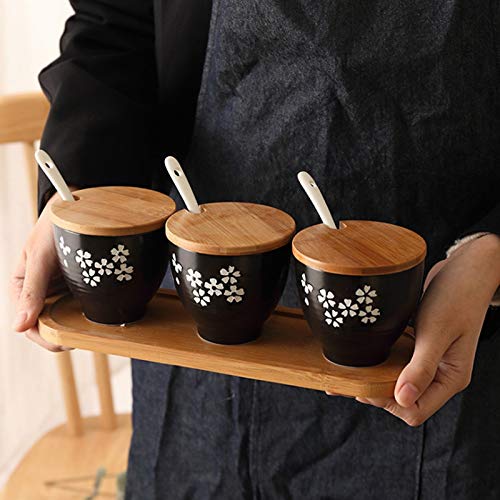 OGMOYT 3-Piece Ceramic Spice Jar Set
