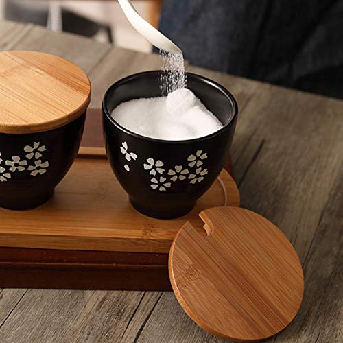 OGMOYT 3-Piece Ceramic Spice Jar Set